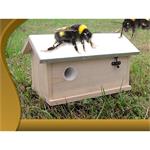 Bumblebee House Nest Box Bee Home Insects Hotel XXL