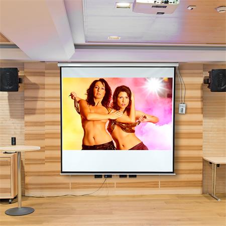 Motorised Home Cinema Projector Screen HDTV Wall Projection + Remote 203X203CM
