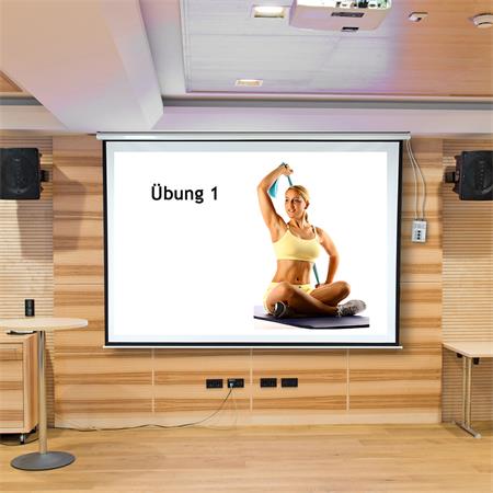 Motorised Home Cinema Projector Screen HDTV Wall Projection + Remote 244X182CM